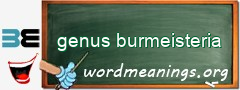WordMeaning blackboard for genus burmeisteria